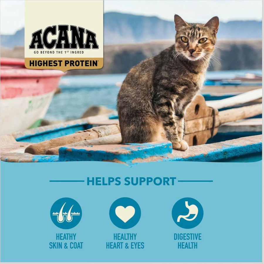A tabby cat sitting on a blue fishing boat near water and mountains; icons below indicate support for healthy skin and coat, healthy heart and eyes, and digestive health.