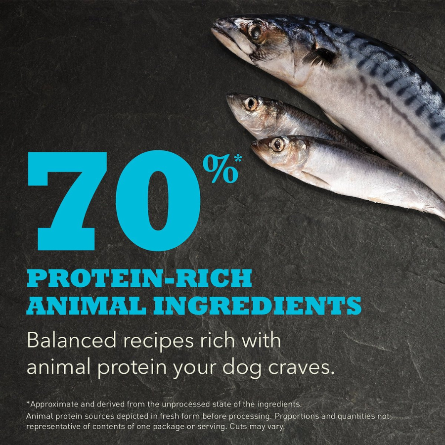 Promotional image showing whole raw fish on a dark stone surface with large text reading “70% protein-rich animal ingredients,” emphasizing animal protein content.