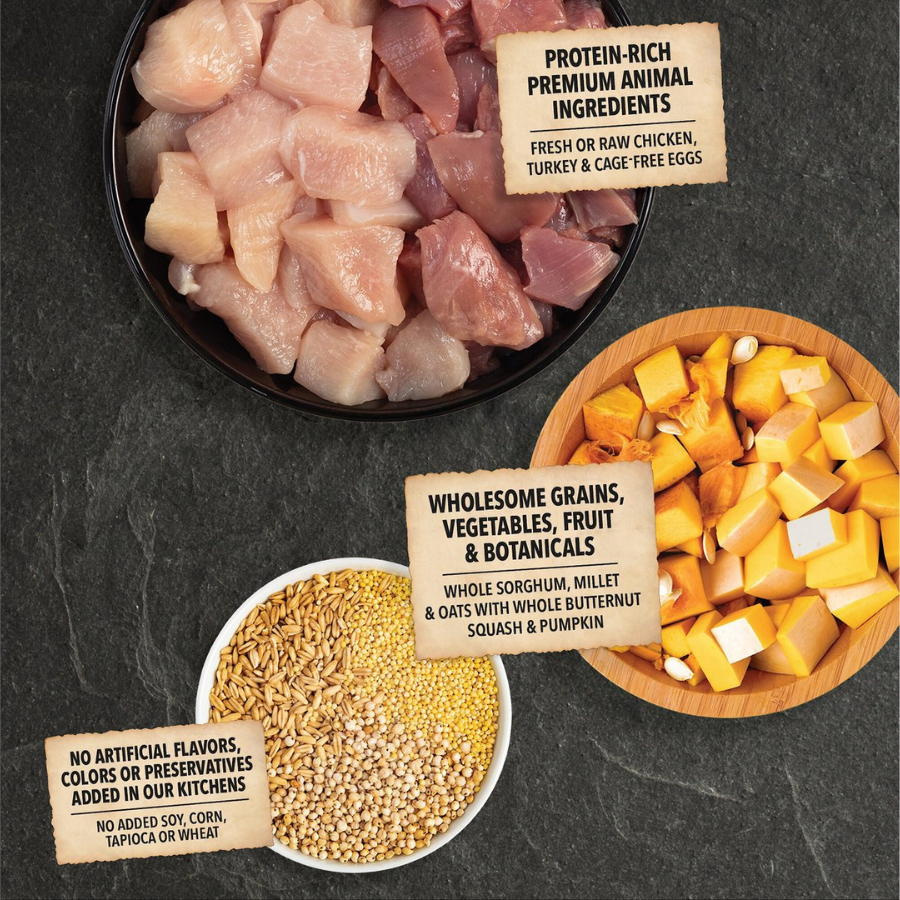 A top-down view of three bowls containing the recipe's raw ingredients: cubed chicken and turkey, a mix of whole grains (sorghum, millet, and oats), and chopped butternut squash and pumpkin. Labels indicate these are protein-rich animal ingredients and wholesome grains/botanicals.