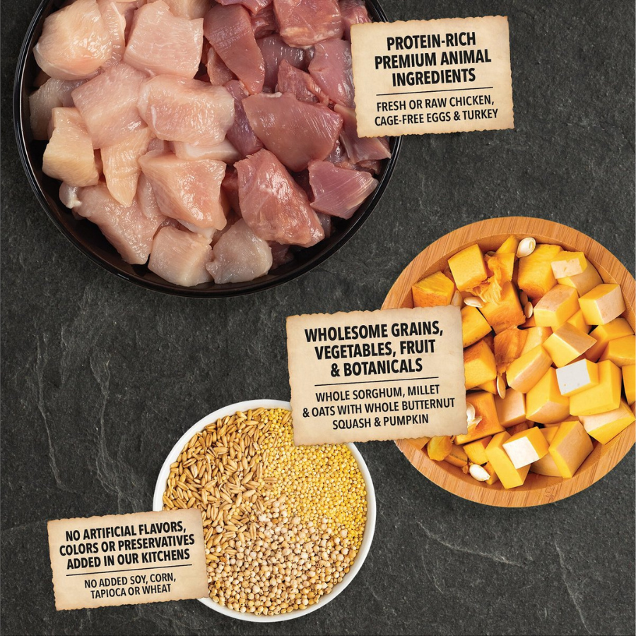 Overhead view of raw chicken pieces, turkey, whole grains, butternut squash, and pumpkin arranged in bowls, with callouts highlighting protein-rich animal ingredients and wholesome grains, vegetables, fruit, and botanicals.