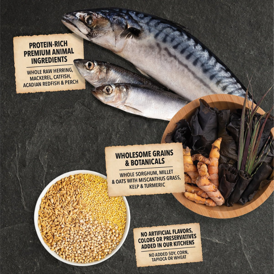 Ingredient display showing whole raw fish, including herring and mackerel, alongside bowls of whole grains and botanicals such as sorghum, millet, oats, kelp, and turmeric. Labels highlight protein-rich animal ingredients and wholesome grains with no artificial additives.
