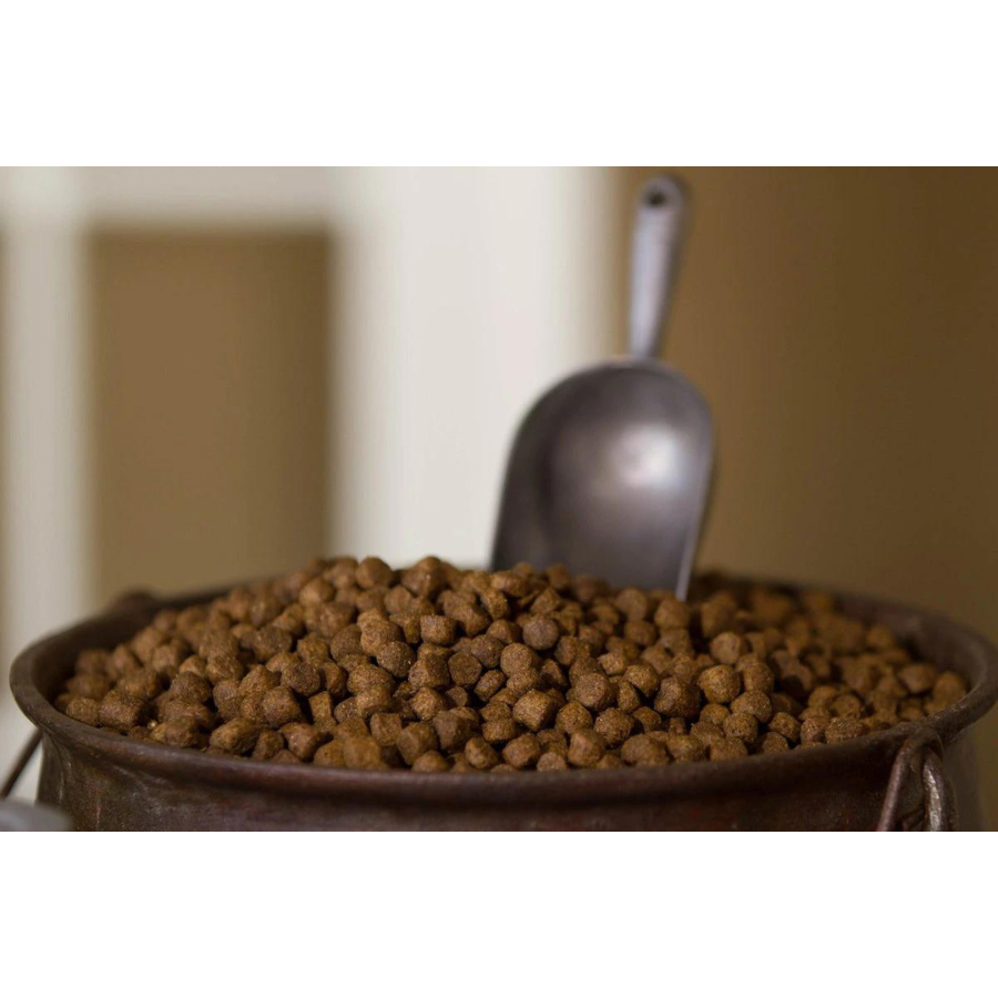 Dr. Gary's Best Breed Holistic All Breed Dry Dog Food - Mutts & Co.