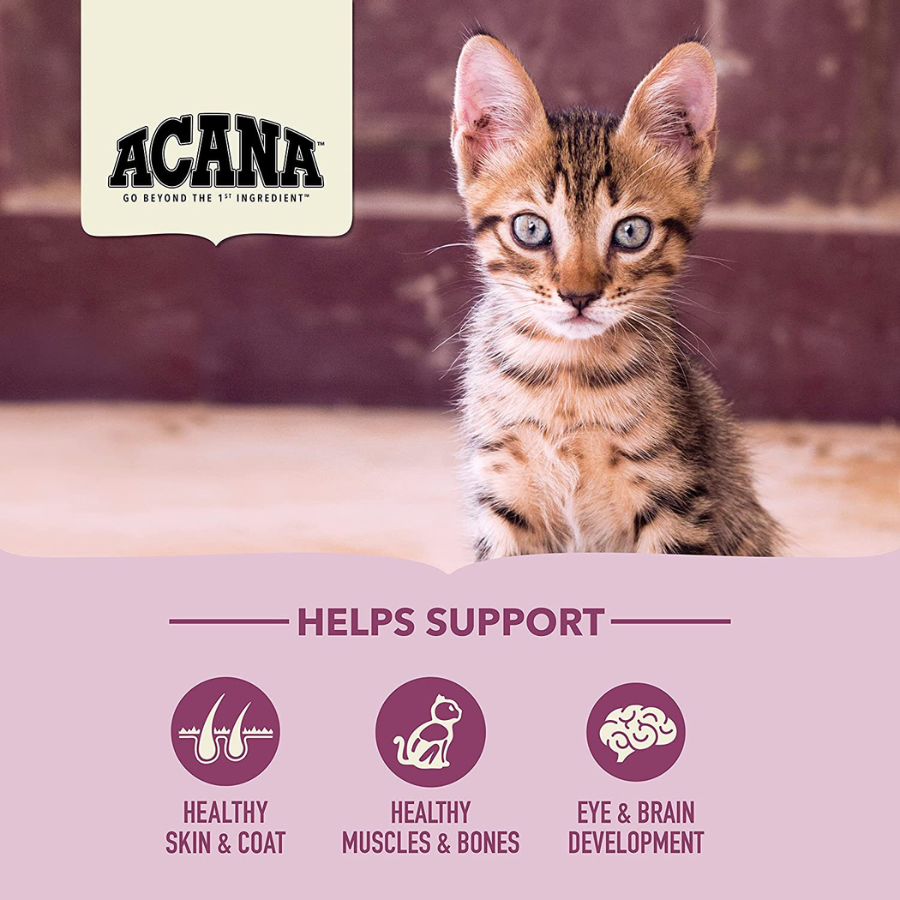 A young tabby kitten sitting indoors facing the camera. The ACANA logo appears above, with icons below indicating support for healthy skin and coat, healthy muscles and bones, and eye and brain development.