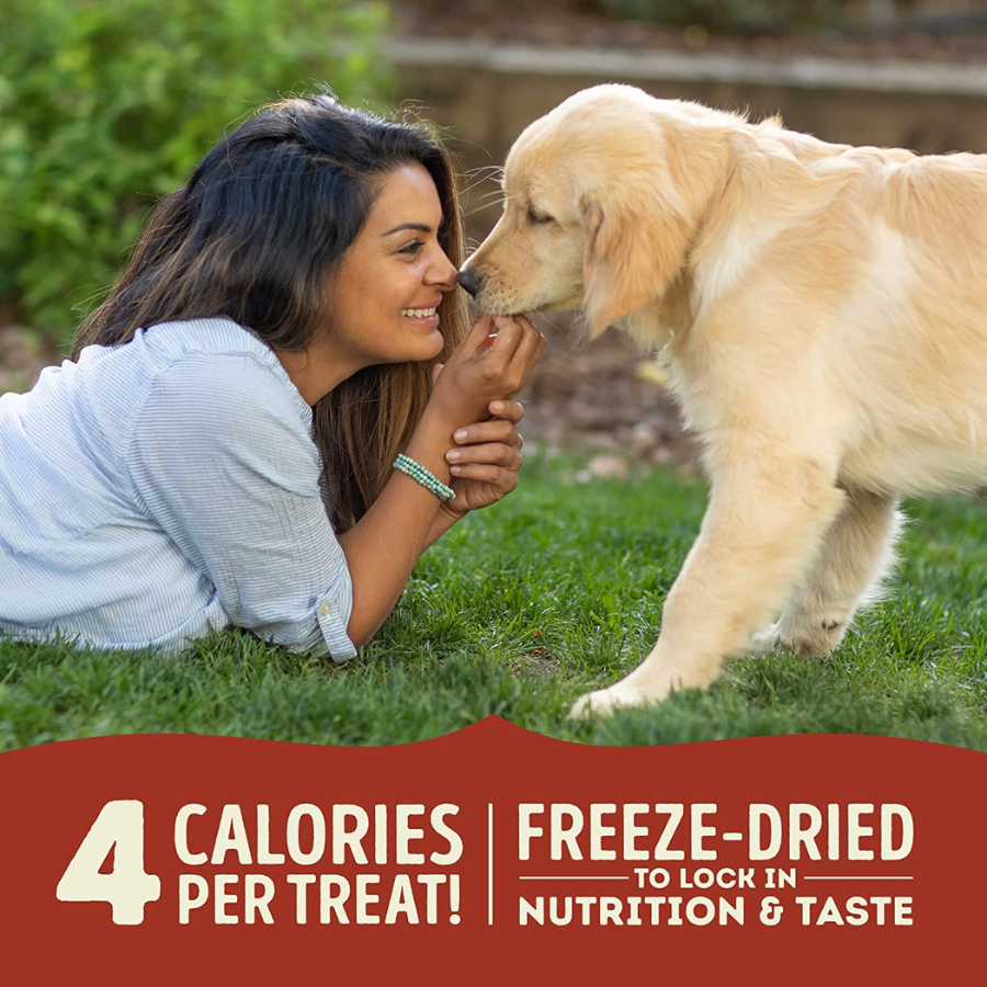 A lifestyle marketing photo showing a woman lying on green grass, smiling while hand-feeding a Golden Retriever puppy. A red banner across the bottom reads "4 calories per treat! | Freeze-dried to lock in nutrition & taste."
