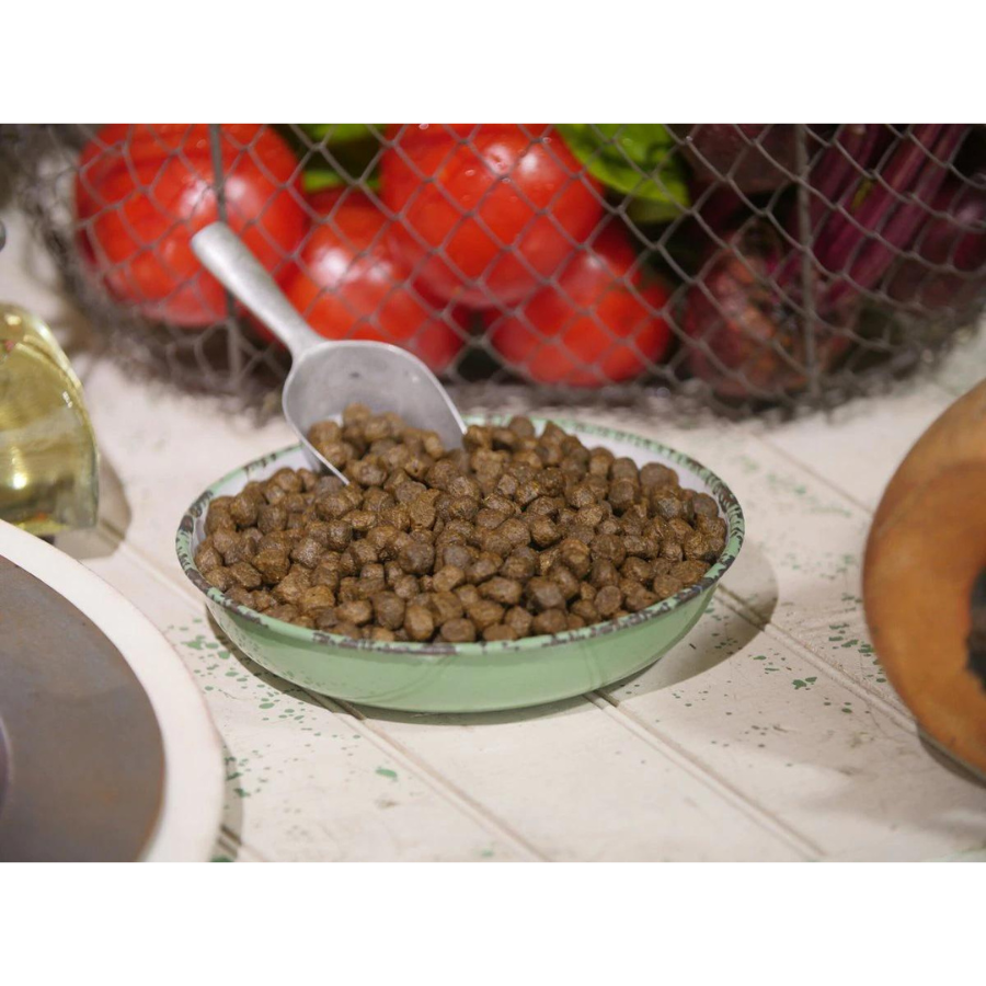 Dr. Gary's Best Breed Holistic Coldwater Recipe Dry Dog Food - Mutts & Co.